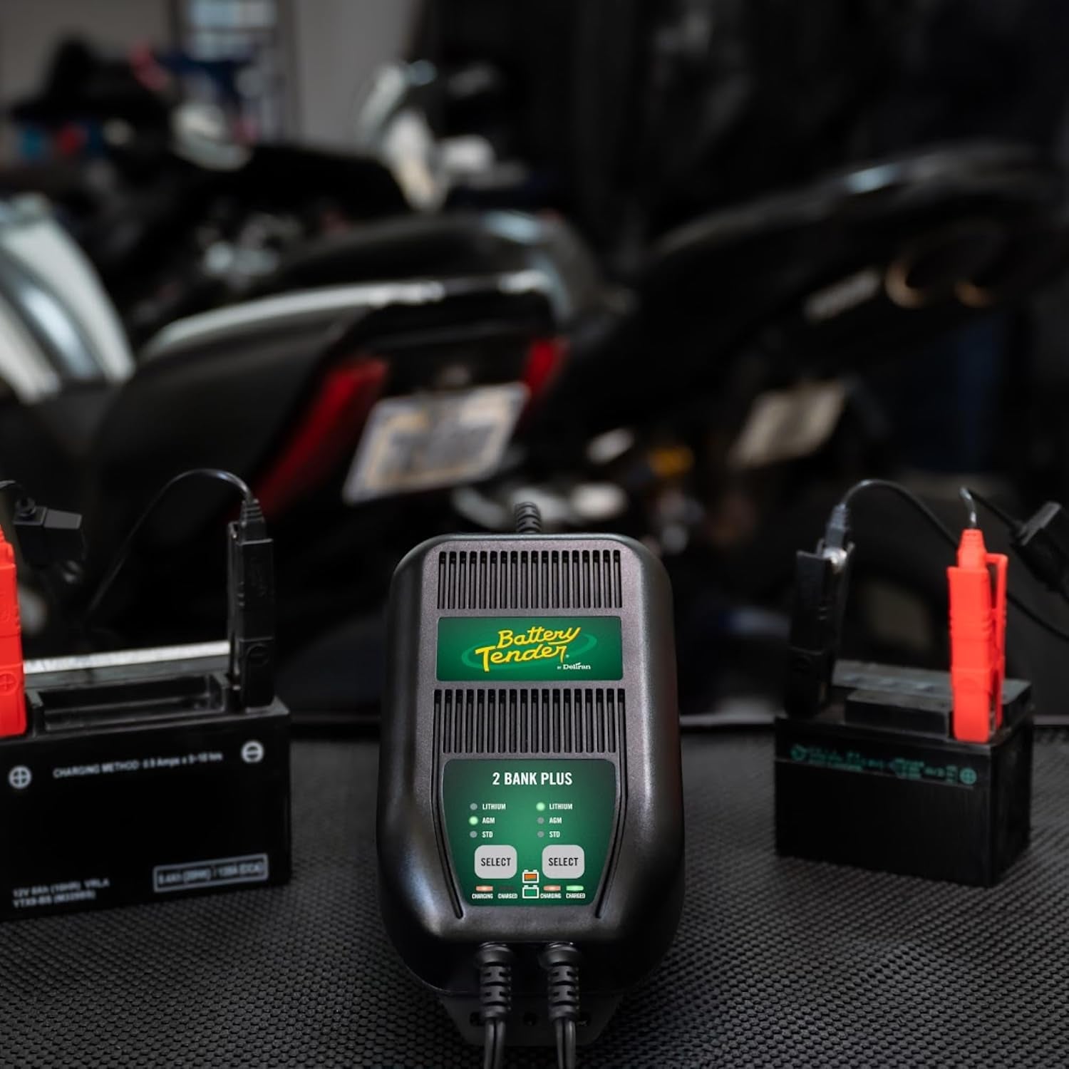 plus 2 Bank Multibank Charger - 2.5 AMP (1.25 Amps per Bank) - Smart 12V Multi Battery Charger and Maintainer for Standard, AGM, and Lithium Lifepo4-022-0165-Dl-Wh
